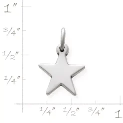 Star Charm -James Charm Sales CM 168 817558 rul