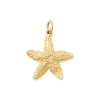 Cape Starfish Charm
