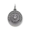 State Seal Of Texas Charm