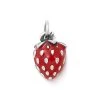 Enamel Wild Strawberry Charm -James Charm Sales CM 3340 685661