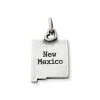 My "New Mexico" Charm