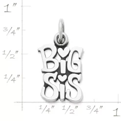 "Big Sis" Charm -James Charm Sales CM 5580 561655 rul