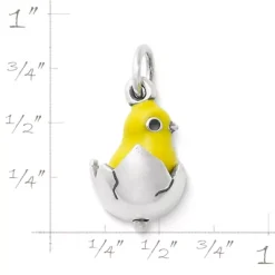 Enamel Chicks Rule Charm -James Charm Sales CM 5590 583343 rul