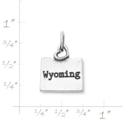 My "Wyoming" Charm -James Charm Sales CM 5599 219865 rul