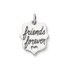 "Friends Forever" Charm