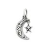 Adorned Starry Night Charm 6 Adorned Starry Night Charm -James Charm Sales CM 5873 680754