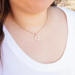 Pave Diamond Deep In The Heart Of Texas Pendant -James Charm Sales CM 6127 336353 IGC