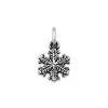 Aspen Snow Crystal Charm