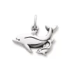 Mother And Baby Dolphin Charm