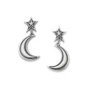 Starry Night Drop Earrings